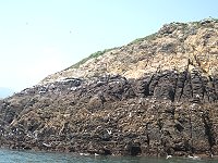 全村一起來熱鬧!(圖與文:張登傑、陳樂團)