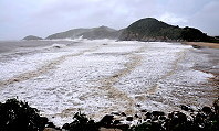 　千軍萬馬　雪白一片。（圖與文：陳鵬雄）
