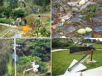 「蘇力」風勢洶洶,東引許多樹木、路標、農作物遭到破壞。(圖/文:陳其敏)