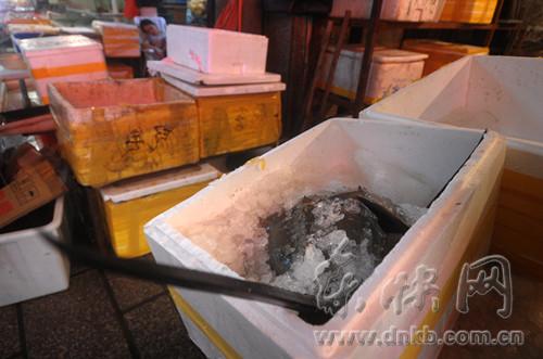 在福州鼓樓區西營里市場內銷售的鱟。(圖/東南快報)