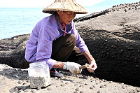 　誰知盤中「蚵」　粒粒皆辛苦。（圖與文：陳鵬雄）