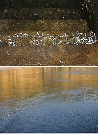 小魚群現身近岸掀起海面上波波小水花,一個不留神迷你魚還會被海水沖上階梯,這些都是近日向晚的美景之一。(圖/文:林冰芳)