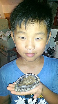 超大的野生九孔鮑。(圖:陳香琳提供)