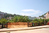 　有民眾透過本報「馬上處理」反映山隴蔬菜公園開挖，疑似要興建房屋，呼籲縣府拿出對策。地主家人供稱，是為了改善自家農地排水，並補充新土壤，才會添土、翻鬆，決不是要蓋房屋。（圖／文：邱竟瑋）