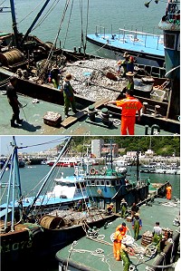 　守護馬祖海域資源沒有暑假，海巡日前特別執行擴大威力掃蕩。（圖：馬祖海巡隊提供）