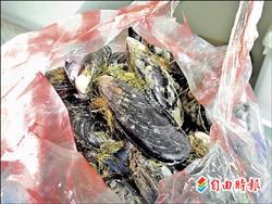新竹市一群媽媽團購馬祖的貝類淡菜八十台斤,沒想到送到台灣後竟然少了四公斤。
