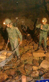 南竿北海坑道內開鑿官兵塑像疑遭宗教團體灑豆、均已發芽,馬祖國家風景區管理處已進行清除。(圖:馬管處導覽人員提供)