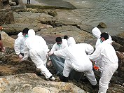 有鄉親29日在津沙澳口發現一具浮屍,請岸巡派員處理,這位死者疑死亡多日,難以辨別身分,經檢察官相驗後已送往南竿鄉殯儀館冰存。(圖:岸巡第十大隊提供)