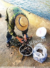 全村一起來熱鬧!(圖與文:張登傑、陳樂團)