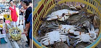 首批秋蟹來報到,北竿街頭五分鐘搶購一空。(圖/文:陳鵬雄)