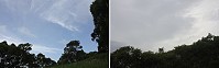 　時晴時雨。（圖與文：林冰芳）