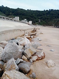 　原形畢露。（圖／文：陳鵬雄）