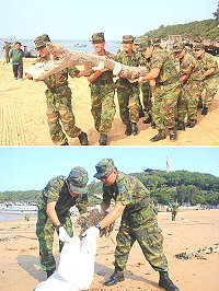 (上圖)馬防部弟兄共同清理馬港沙灘漂流木。(下圖)弟兄們針對塑膠瓶、保麗龍等垃圾,一一拾起裝入袋內並完成分類。(圖/文:呂則賢)