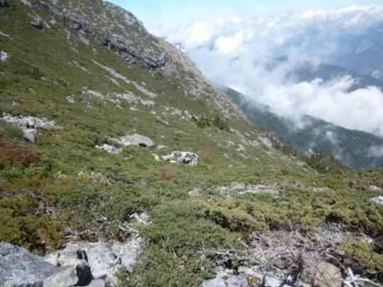 中興航空直升機16日墜毀在玉山氣象站停機坪東北方大約200公尺山谷。(圖/中廣新聞網)