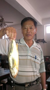 西莒田澳友誼山莊陳樂團日前在坤坵定置網撈獲一尾近半斤野生黃魚。(圖:友誼山莊陳善澔提供)
