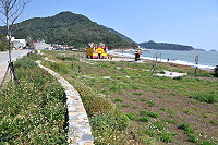 　&#22338;里天后宮周邊景觀公園因疏於管理，現已雜草叢生。（圖／文：陳鵬雄）