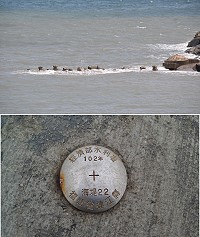 橋仔海堤正式納入水利署列管海堤,計畫明年度編列經費改善。(圖/文:陳鵬雄)