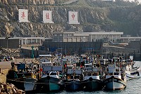 　寒流來襲，東引中柱港又迎來眾多台灣漁船入港避風。（圖／文：陳其敏）
