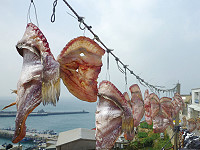 　北疆風味。（圖與文：陳其敏）