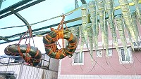 山隴市場2樓懸掛著「封鰻」,也引起遊客好奇。(圖:曹祥官提供)