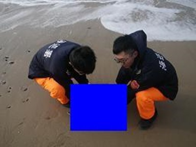 ▲馬祖西莒坤坵沙灘發現疑似有具海龜擱淺死亡案。(圖:海巡署提供)-今日大話新聞