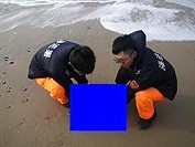 西莒坤坵沙灘發現疑似有具海龜擱淺死亡案。(圖:海巡署提供)