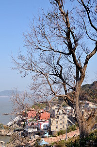 烏&#26709;之村　圖與文：陳鵬雄