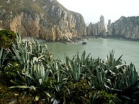 　堅守海岸。（圖與文：陳其敏）