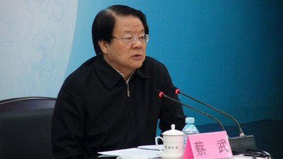 中國大陸文化部長蔡武10日在北京表示,他託人帶話給文化部長龍應台,「歡迎龍應台女士以適宜的身分到大陸參訪」。