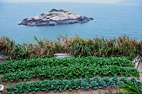 　滄海桑田。（圖／文：陳鵬雄）