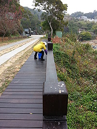 冬季疑過境鳥多,南竿「津仁步道」新裝設木質護欄杆柱頭成鳥類「重屎之地」,清潔工作人員冒著寒風清洗。(圖:宋志富)