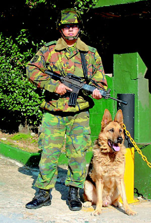 陸軍軍犬士官長「愛行」目前仍在北高地區指揮部前山連堅守崗位，與士兵一同站哨。（圖／陸軍北高地區指揮部/提供）