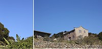 　純粹藍。（圖與文：林冰芳）