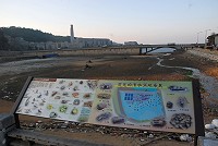縣府建設局去年於清水濕地外側,公車亭旁的位置設置生態教育牌,解說清水濕地所具有的生物分布,以及生物習性。(圖/文:邱竟瑋)