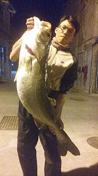 　大魚出水。（圖與文：林冰芳）