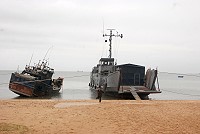 　和平象徵。（圖與文：邱竟瑋）
