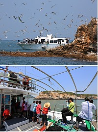 「海上看北竿」觀光行程試航,鄉公所邀請攝影學會登船,記錄北竿觀光美景宣傳。(圖:曹以鋒)
