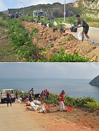 東引鄉公所與建設局苗圃、駐軍聯手,在加油站附近路段栽種數百株榕樹、海桐,取代原有雜草叢生的景觀。(圖/文:陳其敏)