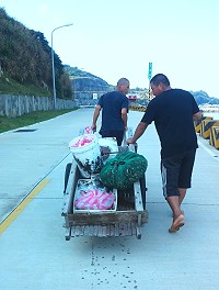 漁產滿載／圖與文：陳其敏