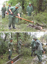 官兵弟兄頂著鋼盔不畏風雨地執行鋸樹、搬運以及道路清掃等工作。(圖/文:陳浙巖)