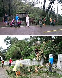 中颱「蘇迪勒」過境,縣長劉增應前往南竿各地關心颱風災情,山線道路彷彿狂風掃落葉,縣府環保局、南竿鄉公所清潔隊及支援官兵,昨天下午集結出動,率先進行主要幹道及入村道路清理工作。(圖/文:曹重偉)
