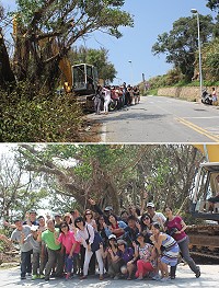 敬恆國中第15屆畢業生事隔30年重回故鄉舉辦同學會,並搶救母校老榕樹期盼老樹生生不息。(圖/文:林冰芳)