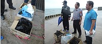 又一起大陸遊客抵達東莒撿拾數百斤螺類,鄉代會副主席林宏豫偕同派出所警員、岸巡弟兄出面勸阻,所幸螺貝全數歸還。(圖:莒光鄉公所提供)