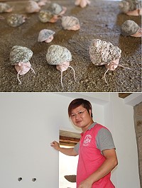 不論條件有多艱難藝術家簡俊成先投遞文案就是想要來大浦駐村,這漫遊慢活的小島隨處可見的海螺殼在他的巧手下成了Q版螺也成了生命的延續。(圖/文:林冰芳)