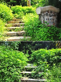 民眾上網反映牛角摩天嶺步道久未修剪,以致有雜草枯枝「攔路」,主管單位馬管處昨天下午通知廠商前往清除。(圖/文:曹重偉)