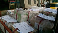 　北竿機場查獲一卡車企圖闖關出境疑似走私文蛤440公斤。（圖：連江機動查緝隊提供）