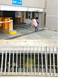 而因應國內疫情之嚴峻,衛生局疾管課全面提升防疫工作,昨天接獲民眾指出「介壽地下停車場入口前水溝有孑孓」,鑑於茲事體大,聞訊後主動前往投藥。(圖/文:曹重偉)