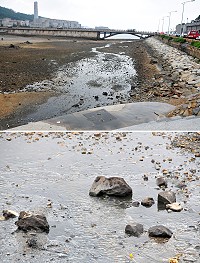 民眾反映清水濕地長期遭受污水污染,濕地上出現黝黑的污水河道,沿途的大小石頭也被染成黑色的;縣府工務局會同廠商前往現勘,發現是舊有大排的污水逕流入海,而非外傳的前處理池溢流造成污染。(圖/文:曹重偉)
