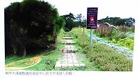 南竿大漢據點進、出請由遊客中心前方步道如圖標示。(圖:馬管處提供)