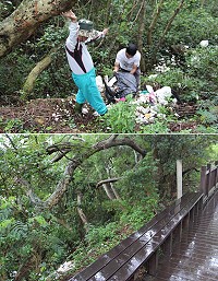 津板路濱海步道亂倒海漂垃圾,馬管處和環保局共同呼籲維護環境整潔。(圖/文:吳嘉榮)